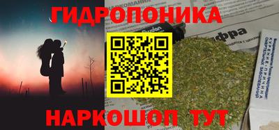 шишки Мариинск