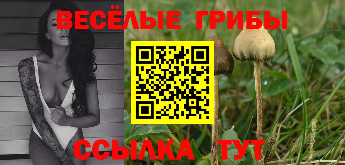 Псилоцибиновые грибы MAGIC MUSHROOMS  Вход с VPN  Усть-Илимск 
